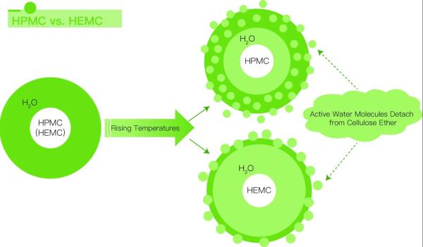 Chemical Structure of HPMC and HEMC